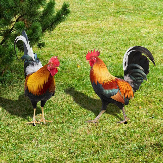 Rooster Garden Sculpture (Set of 2)