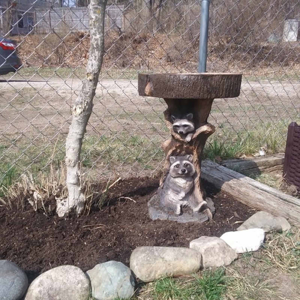 Raccoon Bird Bath Garden Sculpture